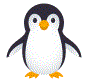 pinguinGIF