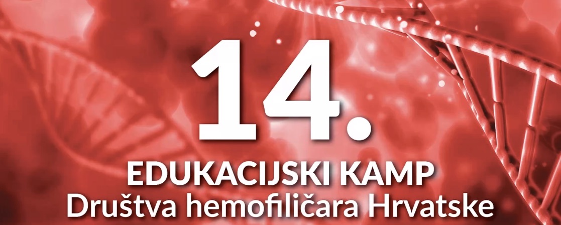Izobraževalni kamp društva hemofilikov Hrvaške, december 2020