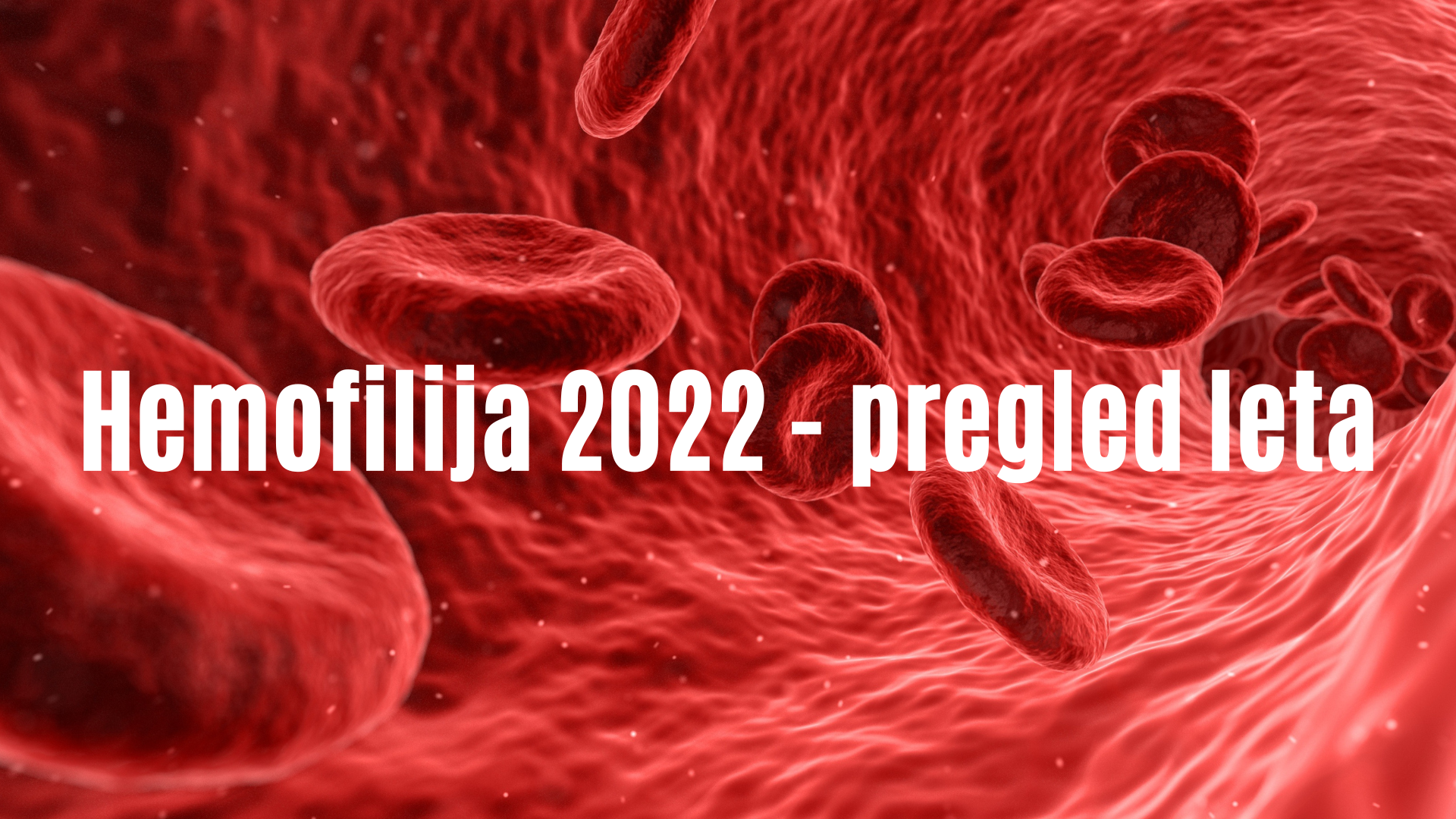 Hemofilija 2022 - pregled letapng