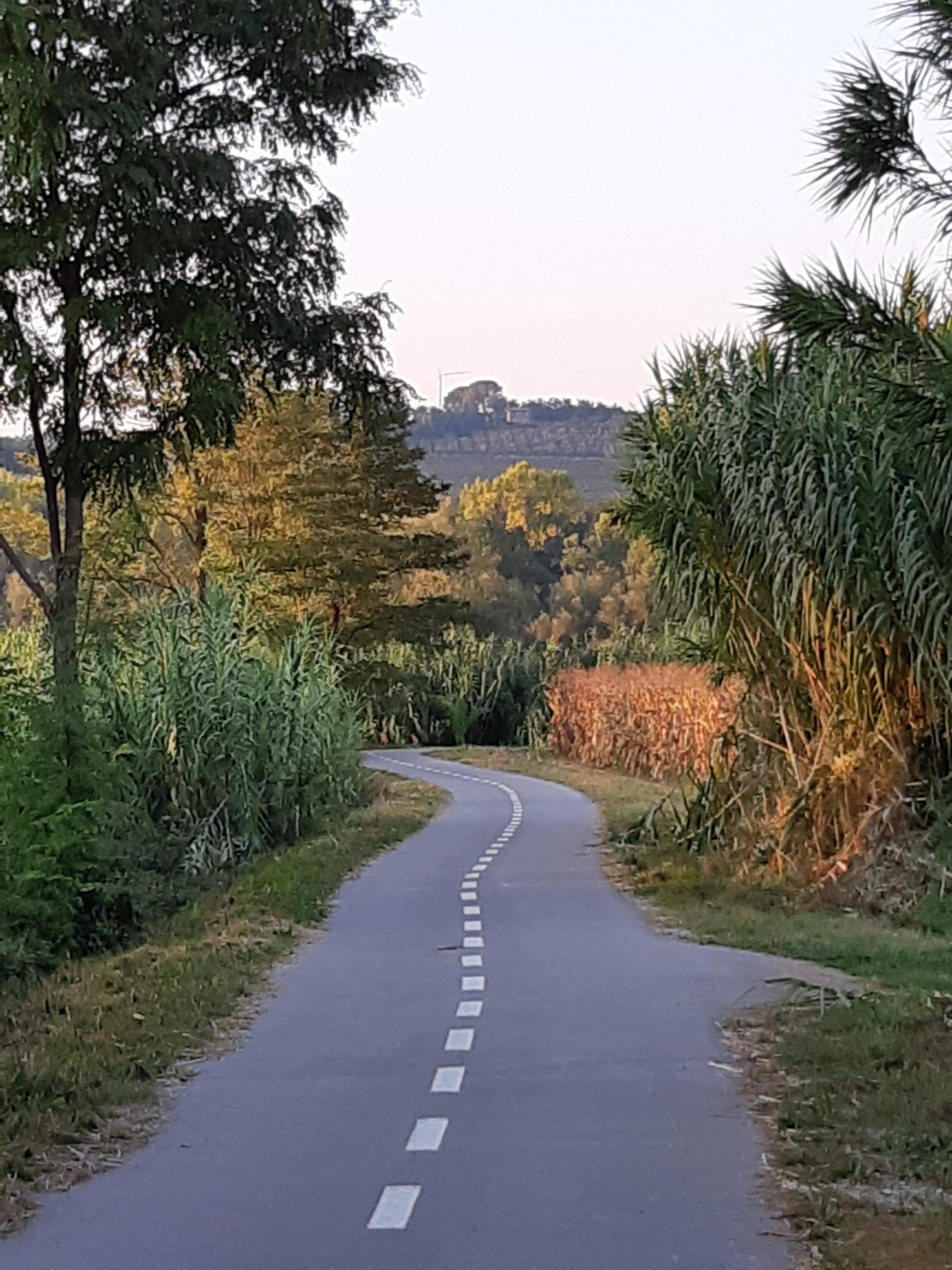 bike path Koper Vanganel